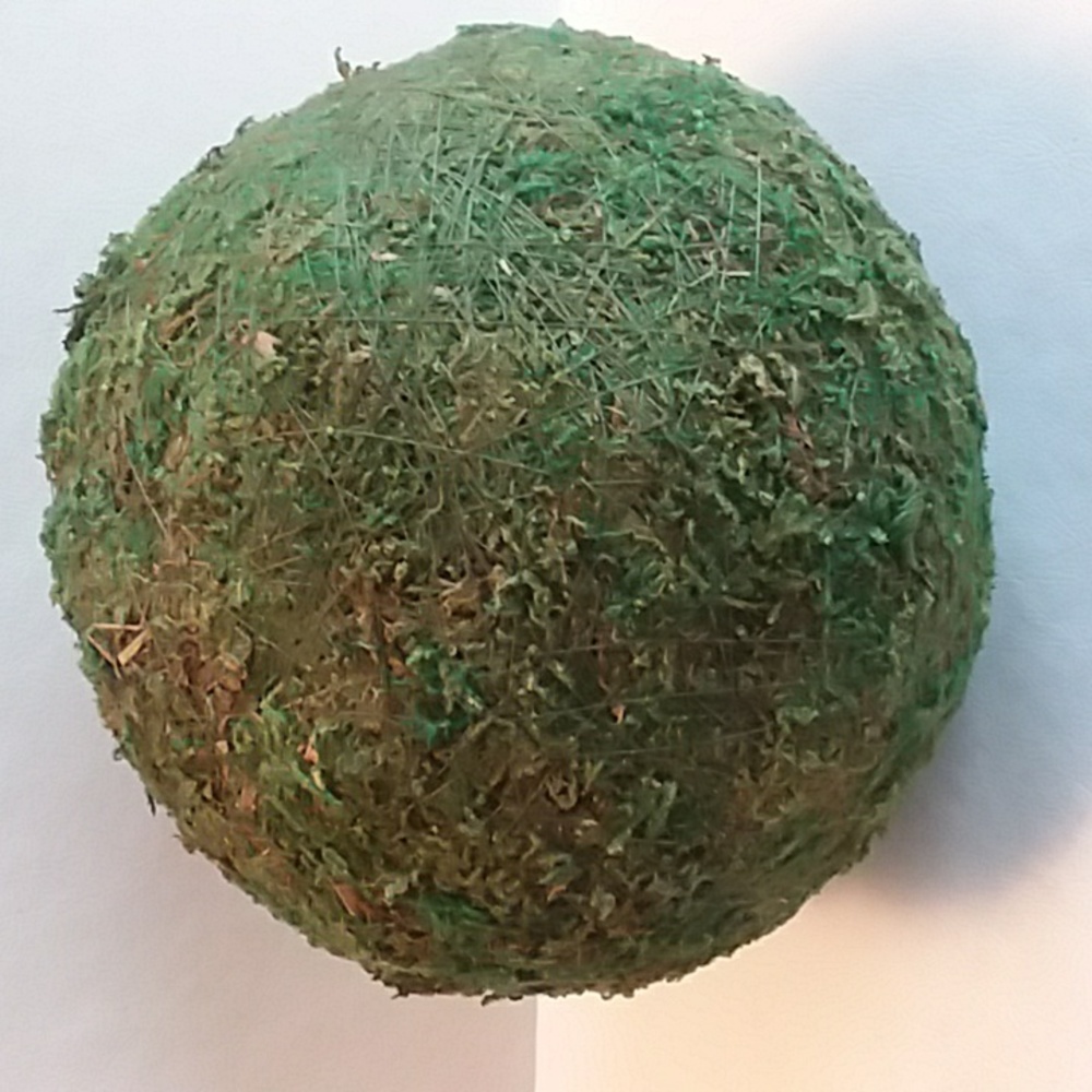Moss Sphere - Picture 2 of 2
